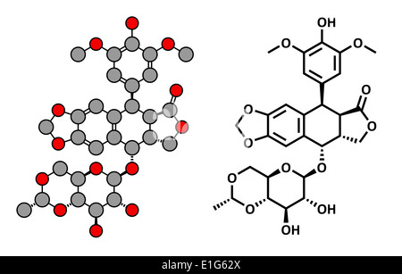 Etoposid Krebs-Chemotherapie-Medikament, chemische Struktur. Konventionelle Skelettformel und stilisierten Darstellung. Stockfoto