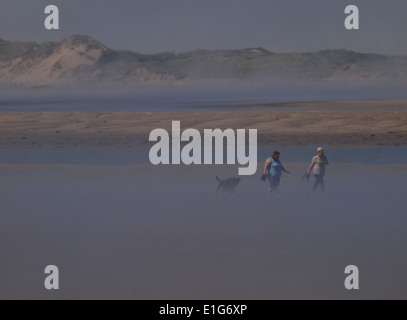 Zwei Frauen Hundewiesen auf Instow Strand im Nebel, Devon, UK Stockfoto