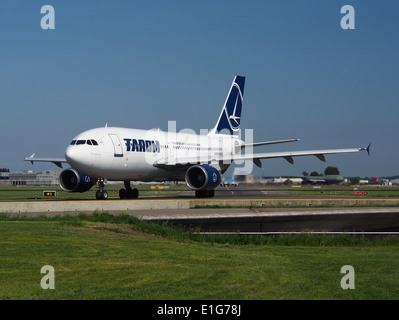 Die YR-LCA TAROM Airbus A310-325(ET) am 16. Mai 2014 am Flughafen Schiphol ist ein Flugzeug der rumänischen Fluggesellschaft TAROM Airlines. Dieses Großraumflugzeug wird für Langstreckenflüge zu verschiedenen internationalen Zielen eingesetzt. Stockfoto