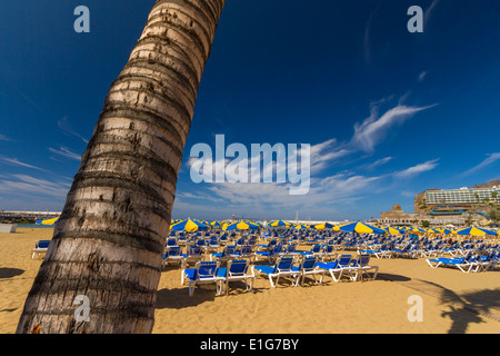 Strand von Puerto Rico auf Gran Canaria Stockfoto