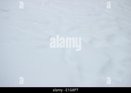 Japan - Feb08: Die schwersten Schnee in Jahrzehnten in Tokio und anderen Bereichen von Japan, am 8. Februar 2014 in Japan Stockfoto