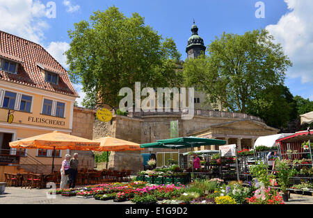 Sonderhausen, Deutschland. 3. Juni 2014. Sondershausen-Palast in Sonderhausen, Deutschland, 3. Juni 2014. Die Thüringer Burg Tage Festival statt findet zum ersten Mal mit zwölf Schlösser und Burgen am Pfingstwochenende. Foto: MARTIN SCHUTT/Dpa/Alamy Live News Stockfoto