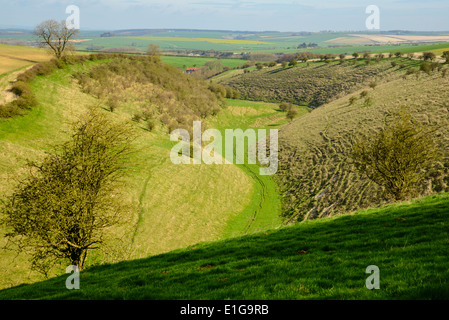 Mit Blick auf Tiefe Dale in der Yorkshire Wolds in der Nähe von Wharram Percy; ein Blick von der Yorkshire Wolds Weise National Trail Stockfoto