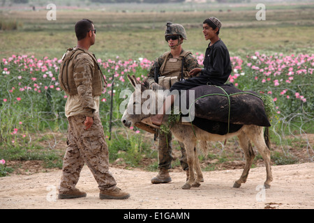 U.S. Marine Hospitalman Matthew Pukey, Center, ein Corpsman mit 1. Platoon, Ostindien-Kompanie, Battalion Landing Team 3/8, Regimental Stockfoto