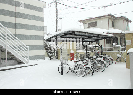 Japan - Feb08: Die schwersten Schnee in Jahrzehnten in Tokio und anderen Bereichen von Japan, am 8. Februar 2014 in Japan Stockfoto