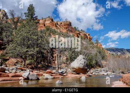 Pinien und Felsen in Slide Rock State Park im Oak Creek Canyon in der Nähe von Sedona, Arizona, USA. Stockfoto