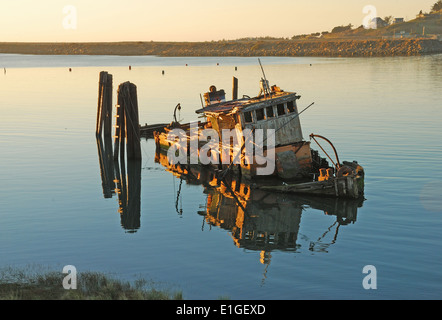 Mary D. Hume liegen im ruhigen Wasser der Bucht in der Nähe von Gold Beach OR Rogue River. Boot, erbaut im Jahre 1881 Stockfoto