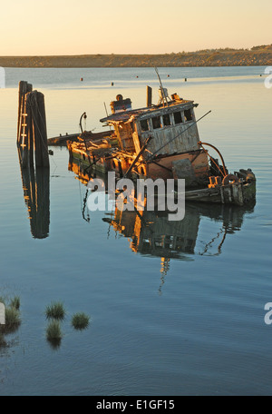 Mary D. Hume liegen im ruhigen Wasser der Bucht in der Nähe von Gold Beach OR Rogue River. Boot, erbaut im Jahre 1881 Stockfoto