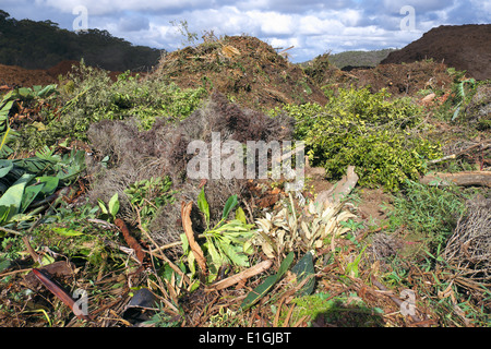 Gartenabfälle werden in einer recyclinganlage in sydney in terrey Hills, New South wales, Sydney, Australien, recycelt Stockfoto