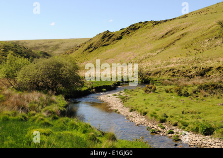 Fluß Barle durchströmenden Barle Tal Exmoor National Park Simonsbath im Frühjahr Devon England Stockfoto