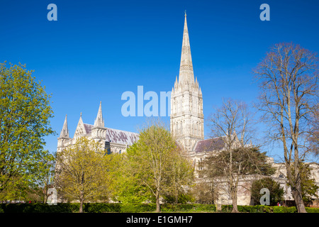 Englische frühgotischen Stil Kathedrale von Salisbury mit dem Talest-Turm auf dem Land. Wiltshire England UK Europa Stockfoto
