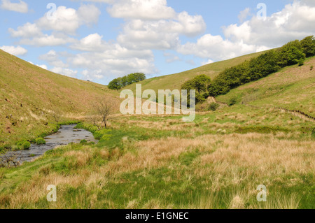 Der Fluß Barle fließt durch Exmoor Tal Simonsbath im Frühjahr Devon England Stockfoto