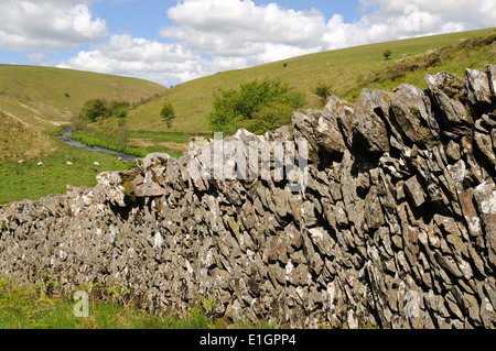 Alten Trockenmauer auf Spaziergang in der Nähe von Simonsbath Exmoor National Park Devon England Stockfoto