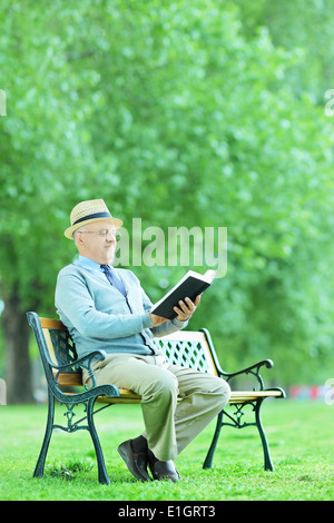 Reifer Mann entspannen mit einem Buch im Park sitzend auf Holzbank Stockfoto