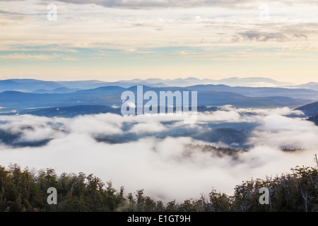 Morgendämmerung auf die Waratah Lookout Hartz Mountains National Park, Tasmanien, Australien Stockfoto