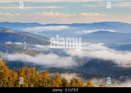 Morgendämmerung auf die Waratah Lookout Hartz Mountains National Park, Tasmanien, Australien Stockfoto