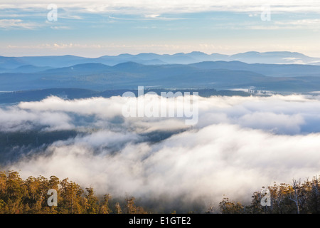 Morgendämmerung auf die Waratah Lookout Hartz Mountains National Park, Tasmanien, Australien Stockfoto