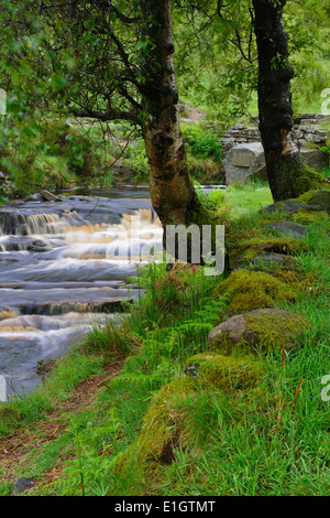 Die Bronte-Wasserfall in der Nähe von Haworth West Yorkshire England UK Stockfoto