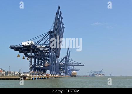 Kräne im Hafen Felixstowe, Suffolk, UK Stockfoto