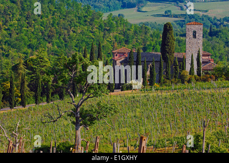 Chianti, Radda in Chianti, Weinberge, Tuscany Landschaft, Provinz Siena, Toskana, Italien, Stockfoto