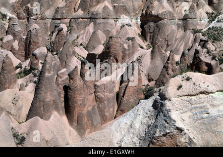 Kappadokien, Türkei. Seltsame Landsof Märchen mit einer Kappe aus Basalt, die sich, verursacht durch zwei Vulkane, Erciyes & Hasan erneuert Stockfoto