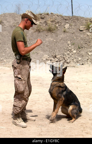 U.S. Marine Corps Lance Cpl. Jeremy Vanhoose, ein eckzahn Handler mit dem III. Marine Expeditionary Force, verbringt Zeit mit seinen Ge Stockfoto