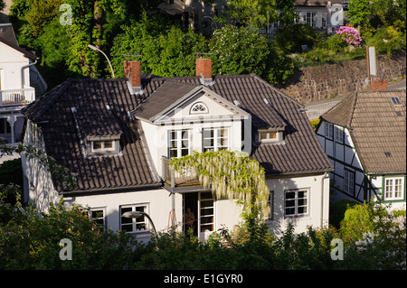 Blühende Wisteria (Wisteria Alba) im Treppenviertel, Hamburg-Blankenese, Deutschland Stockfoto