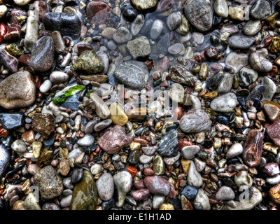 Mehrfarbige nasse Kieselsteine auf verschiedenen Größen an einem Strand in der Nähe von Babbacombe in Devon, Großbritannien Stockfoto