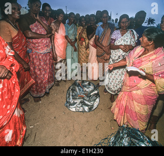 Morgen tägliche Auktion der Fisch am Strand unter der Leitung von Frauen in Trivandrum, Indien. Stockfoto