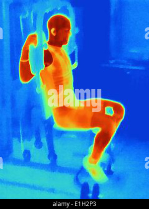 Wärmebild eines Athleten training am Heimtrainer. Bild zeigt die Wärmeentwicklung durch die Muskeln während des Trainings Stockfoto