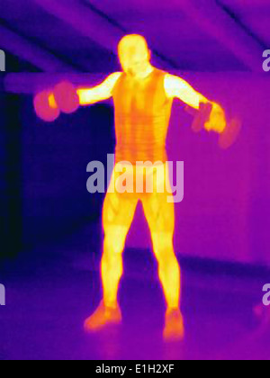 Wärmebild eines Mannes training mit Langhanteln. Das Bild zeigt die Wärmeentwicklung durch die Muskeln Stockfoto