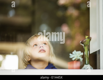 Junge im Haus Fenster blickt nach oben Stockfoto