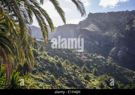 Dorf Masca, Teneriffa, Kanarische Inseln, Spanien Stockfoto