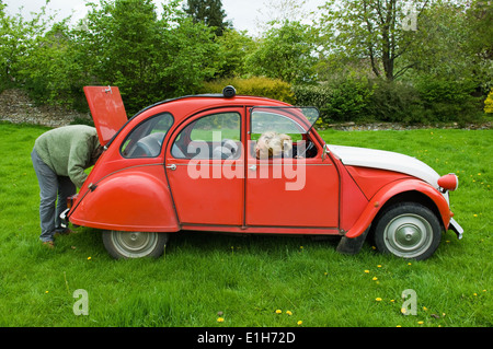 Älteres Paar und Hund im Feld mit Oldtimer Stockfoto