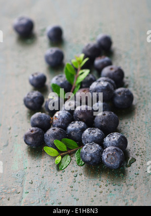 Heidelbeeren Stockfoto