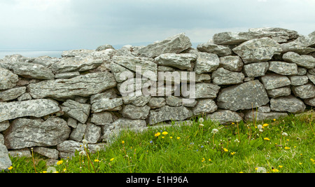 Trockenmauern prägen das Landschaftsbild der Aran Insel Inis Oirr oder Inisheer, Galway Bay, West Irland genannt. Stockfoto