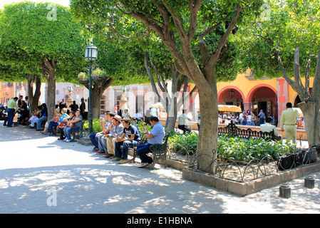 Menschen sitzen auf Bänken unter schattigen Bäumen im Park auf dem Hauptplatz, San Miguel de Allende, Guanajuato, Mexiko Stockfoto