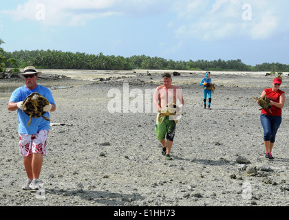121017-N-XY761-055... DIEGO GARCIA, British Indian Ocean Territory (17. Oktober 2012)??? Volenteers helfen Schildkröten für die Kennzeichnung zu tragen Stockfoto