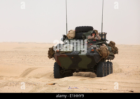 US-Marines mit Waffen Firma, Battalion Landing Team, 3. Bataillon, 5. Marineregiment, 15. Marine Expeditionary Unit c Stockfoto