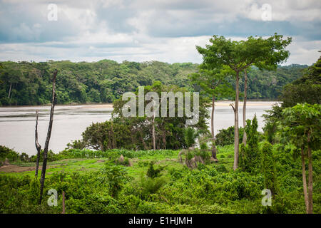 Der Fluss Sangha, Grenze, Zentralafrikanische Republik, Kamerun, Libongo, Region Ost Stockfoto