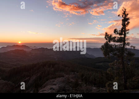 Blick vom Pico de Las Nieves auf Gran Canaria über Roque Nublo auf den Teide auf Teneriffa, La Culata, Risco Blanco Stockfoto