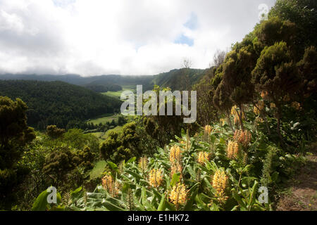 Vulkankrater der Lagoa Fogo, São Miguel, Azoren, Portugal Stockfoto