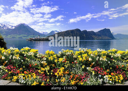 Dampfschiff auf dem Vierwaldstättersee, Buochserhorn Berg und Bürgenstock Berg auf der Rückseite, Vitznau, Kanton Luzern, Schweiz Stockfoto