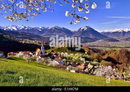 Tonscape von Fraxern mit blühenden Kirschbäumen und Blick auf die St. Gallen Rhine Valley, Fraxern, Bezirk Feldkirch Stockfoto