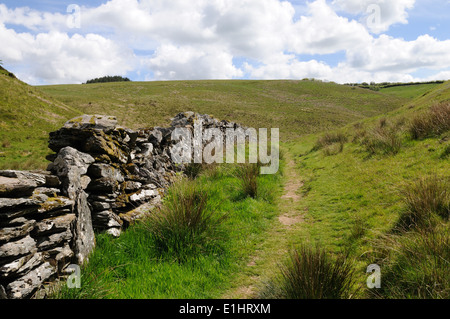 Alten Trockenmauer auf Spaziergang in der Nähe von Simonsbath Exmoor National Park Devon England Stockfoto