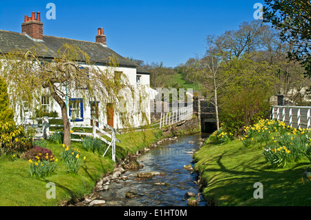 Traditionelle weiß lackiertes Häuschen an einem Bach im Frühjahr in Caldbeck Dorf, Cumbria, England-Vereinigtes Königreich Lake District National Park Stockfoto