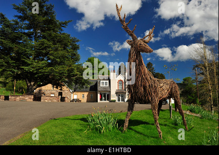 Weide Hirsch Skulptur The Retreat Folk Museum, Glen Esk, Angus, Schottland. Stockfoto