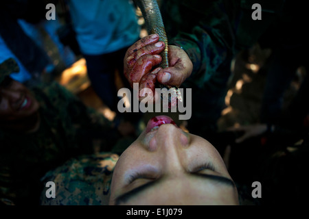 Eine Marine mit der 31. Marine Expeditionary Unit trinkt das Blut einer Königskobra während einer Dschungel überleben Klasse gelehrt von Roya Stockfoto
