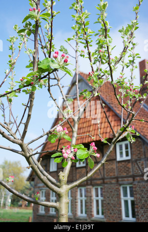 Bauernhaus Oder Landhaus In Nordrheinwestfalen Mieten Oder