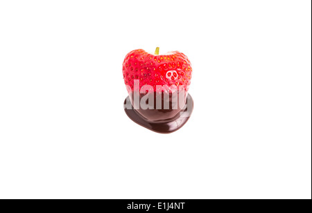 Eine frische, rote, Reife Erdbeere getaucht in Schokoladensauce auf weißem Hintergrund Stockfoto